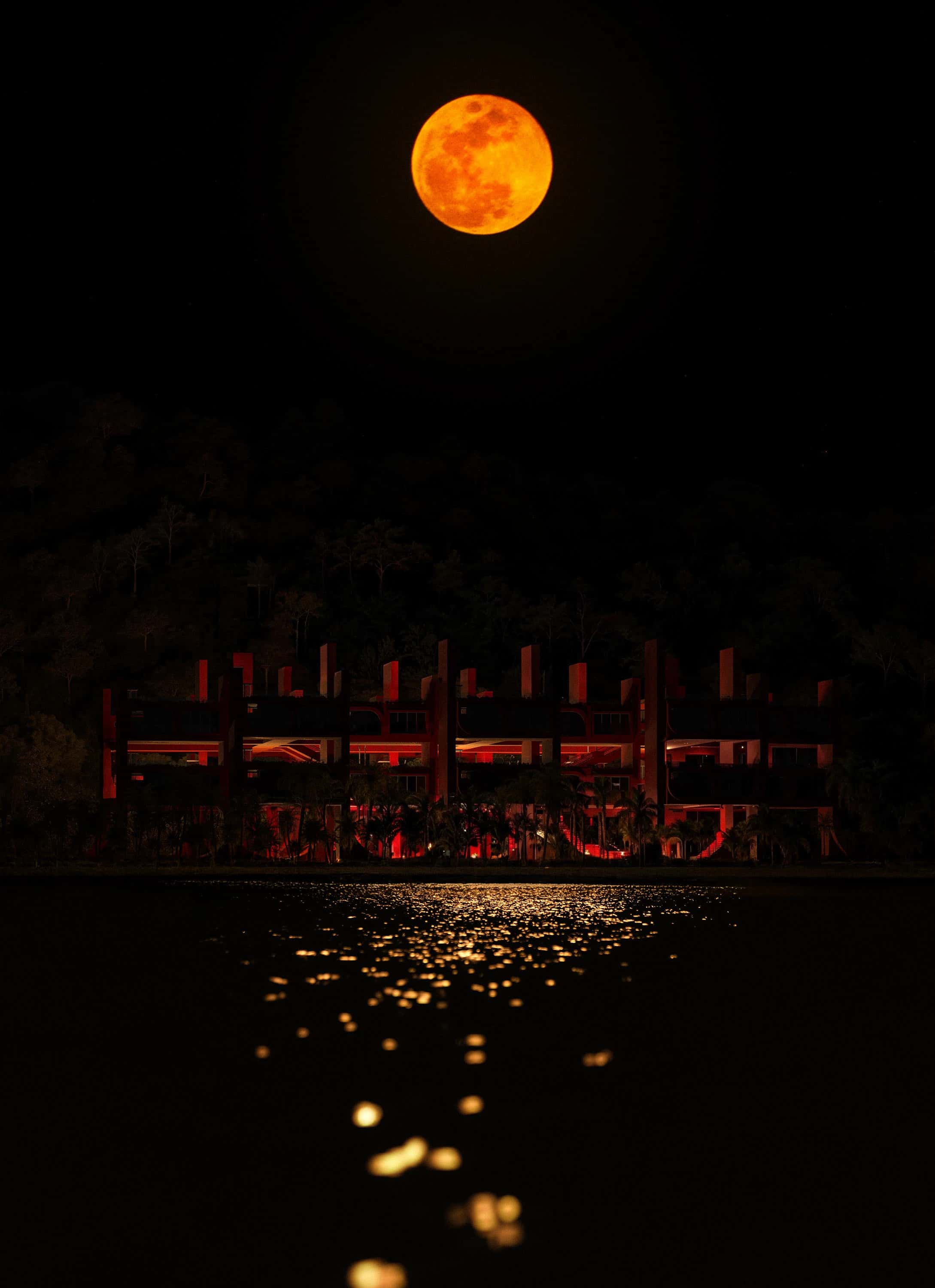 THE WAVES - Arthur Valente - Görsel 4