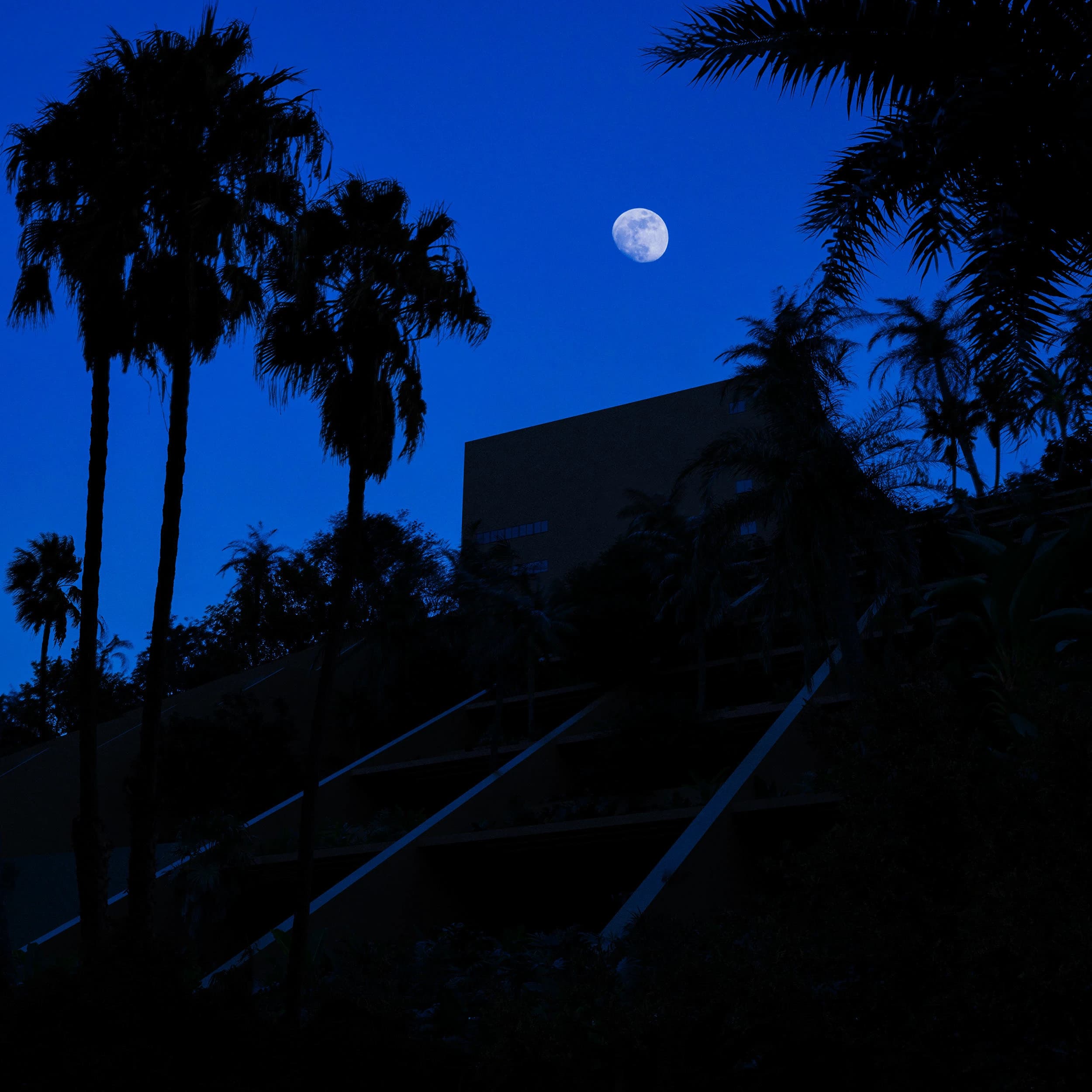 Hotel Brisas | Ixtapa - Kaliteli Render Mimari Görselleştirme