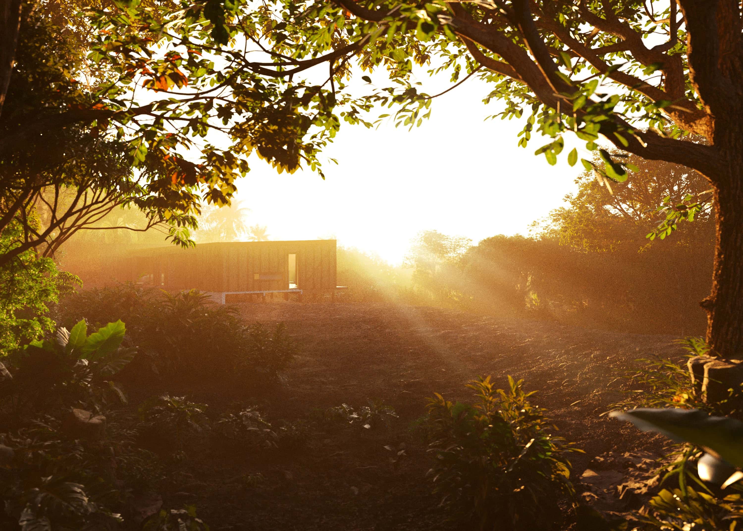 The Saga of the Biomes - Atlantic Forest - Arthur Valente - Görsel 3